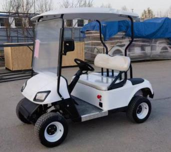 2 seater E-golf