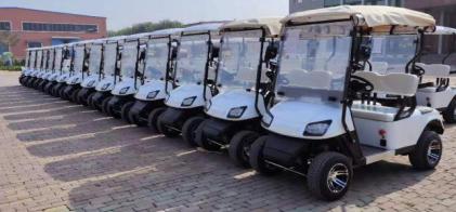 2 seater E-golf